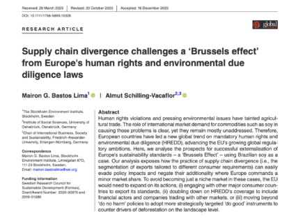 Towards entry "New article on supply chain regulations and the ‘Brussels Effect’"