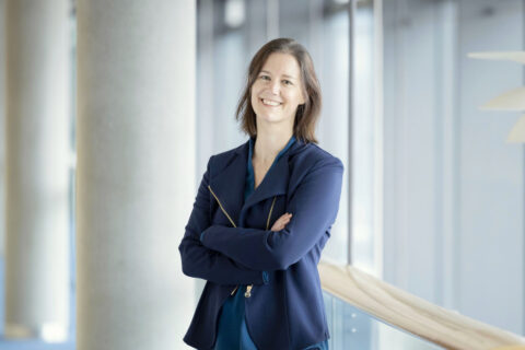 Symbolic picture for the article. The link opens the image in a large view.